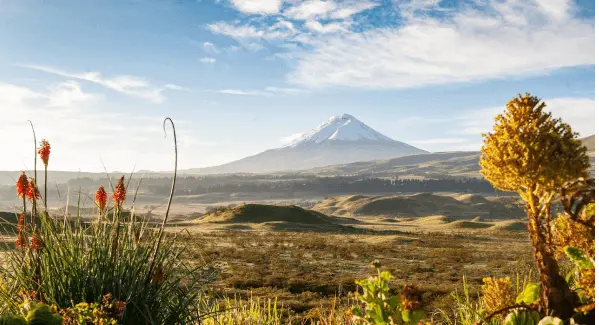 travel agency tour ecuador