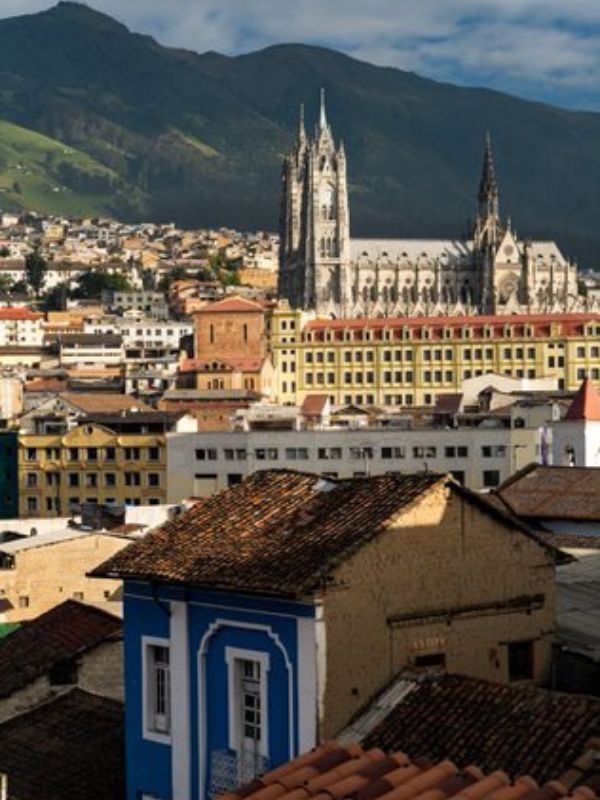 hostel-quito-basilic-view